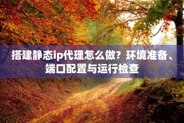 搭建静态ip代理怎么做?环境准备、端口配置与运行检查 搭建静态ip代理怎么做?环境准备、端口配置与运行检查