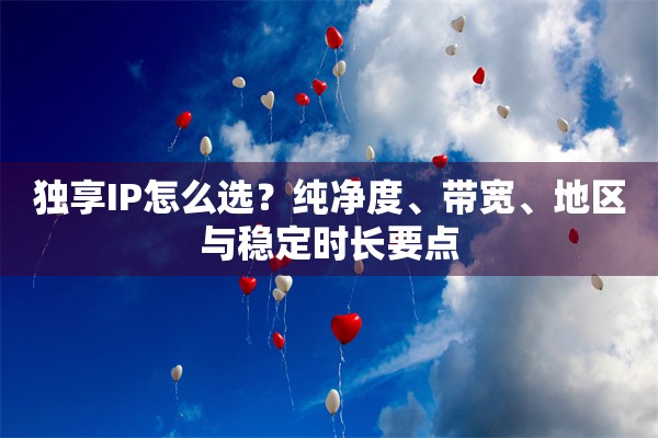 独享IP怎么选?纯净度、带宽、地区与稳定时长要点 独享IP怎么选?纯净度、带宽、地区与稳定时长要点