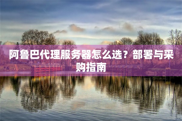 阿鲁巴代理服务器怎么选？部署与采购指南