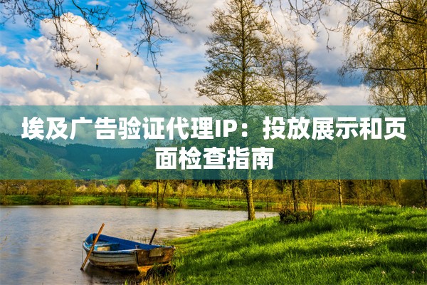 埃及广告验证代理IP：投放展示和页面检查指南