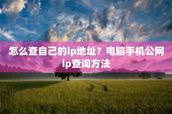 怎么查自己的ip地址?电脑手机公网ip查询方法 怎么查自己的ip地址?电脑手机公网ip查询方法