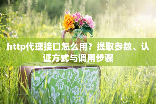 http代理接口怎么用？提取参数、认证方式与调用步骤