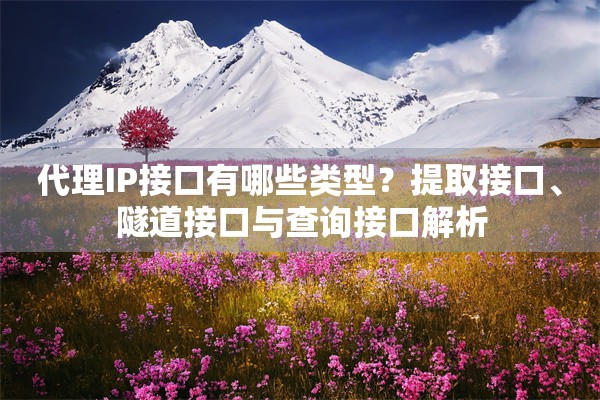代理IP接口有哪些类型？提取接口、隧道接口与查询接口解析