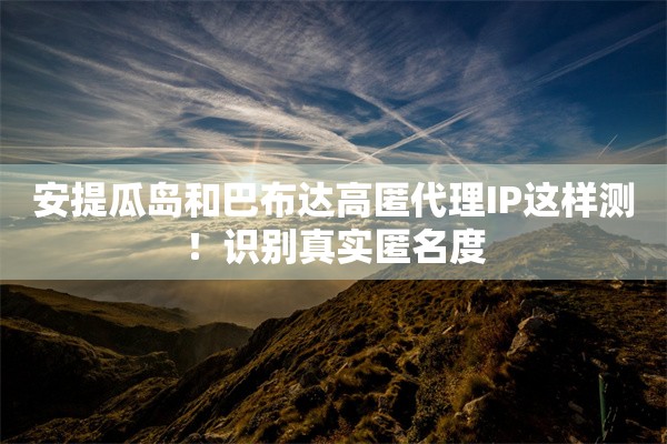 安提瓜岛和巴布达高匿代理IP这样测!识别真实匿名度 安提瓜岛和巴布达高匿代理IP这样测!识别真实匿名度