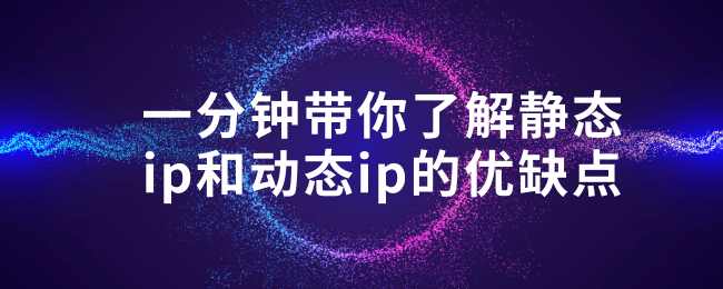 一分钟带你了解静态ip和动态ip的优缺点 (1).png