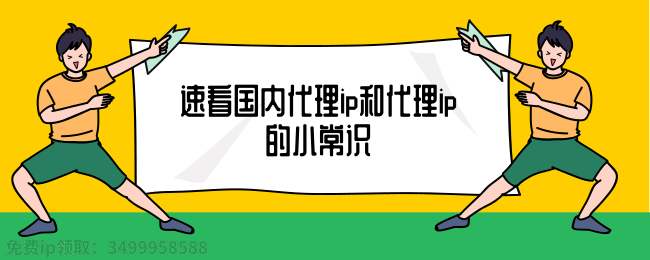 速看国内代理ip和代理ip的小常识 (1).png