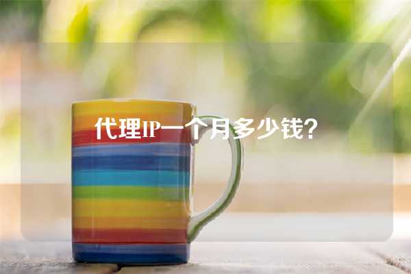 代理IP一个月多少钱？