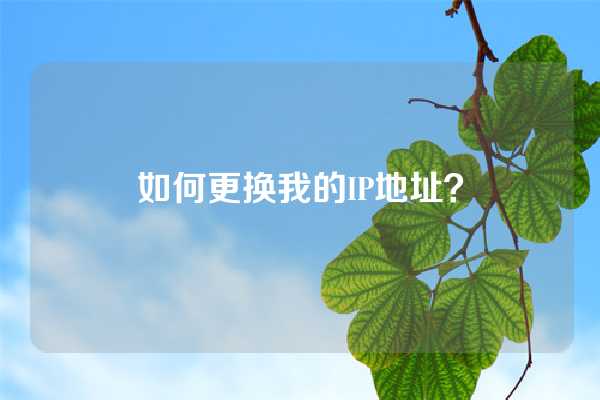 如何更换我的IP地址？