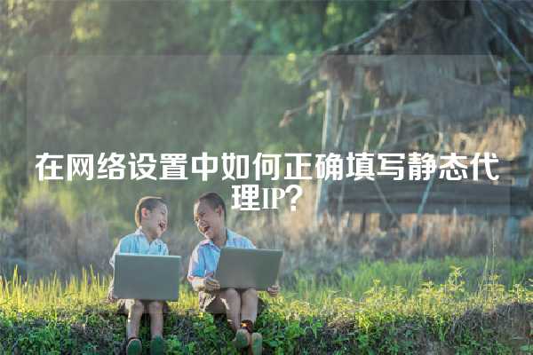 在网络设置中如何正确填写静态代理IP？