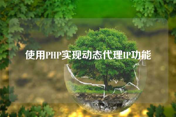 使用PHP实现动态代理IP功能