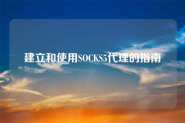 建立和使用SOCKS5代理的指南