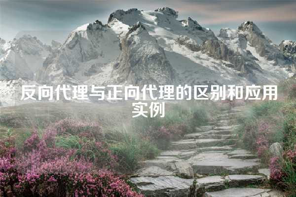 反向代理与正向代理的区别和应用实例