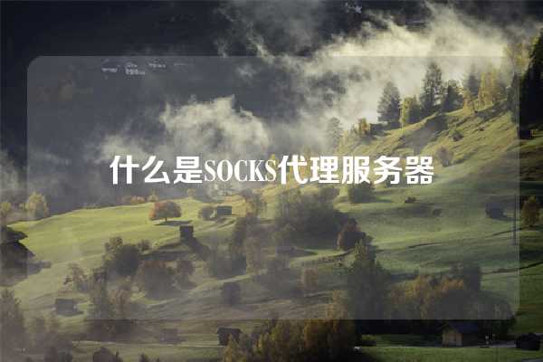 什么是SOCKS代理服务器