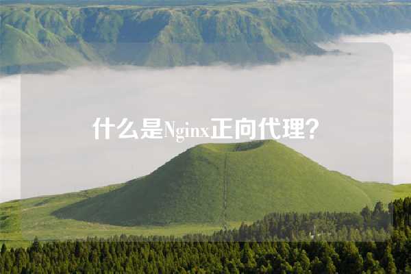 什么是Nginx正向代理？