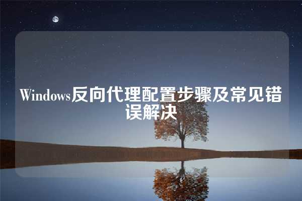 Windows反向代理配置步骤及常见错误解决