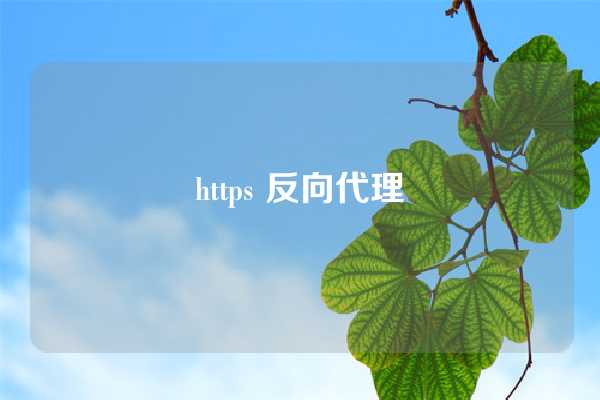 https 反向代理