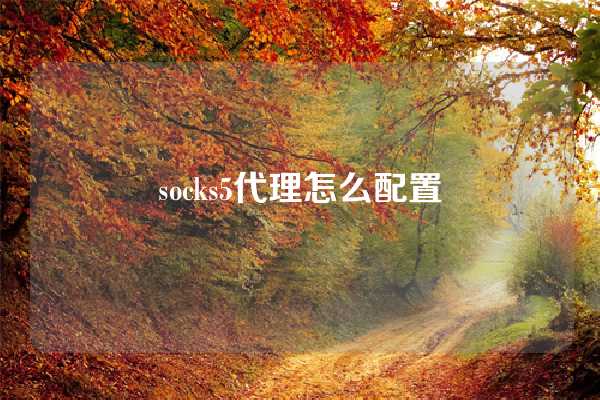 socks5代理怎么配置