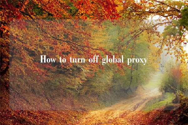 How to turn off global proxy