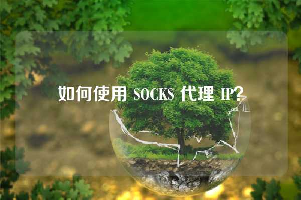 如何使用 SOCKS 代理 IP？