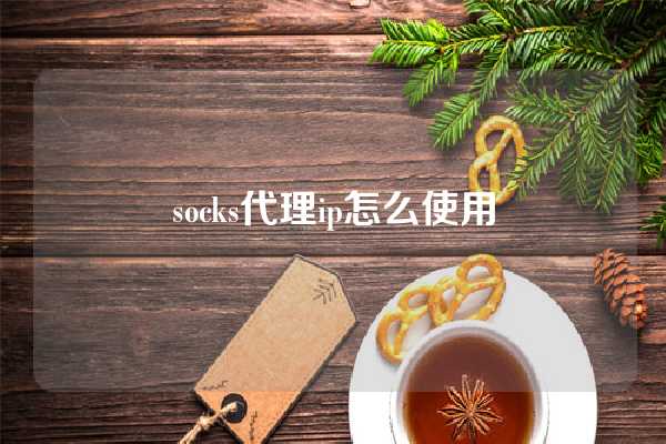 socks代理ip怎么使用