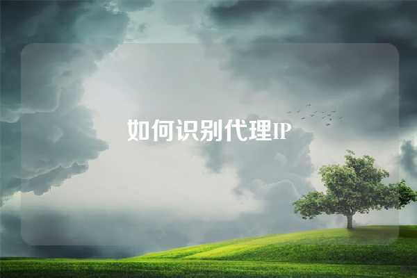 如何识别代理IP