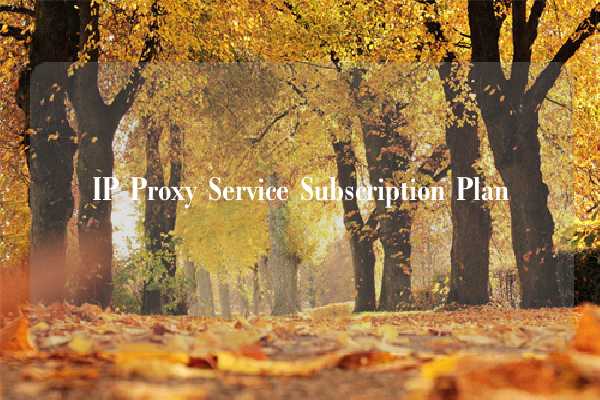 IP Proxy Service Subscription Plan