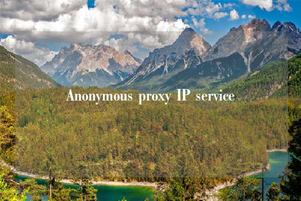 Anonymous proxy IP service