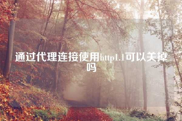 通过代理连接使用http1.1可以关掉吗