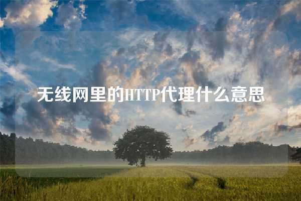 无线网里的HTTP代理什么意思