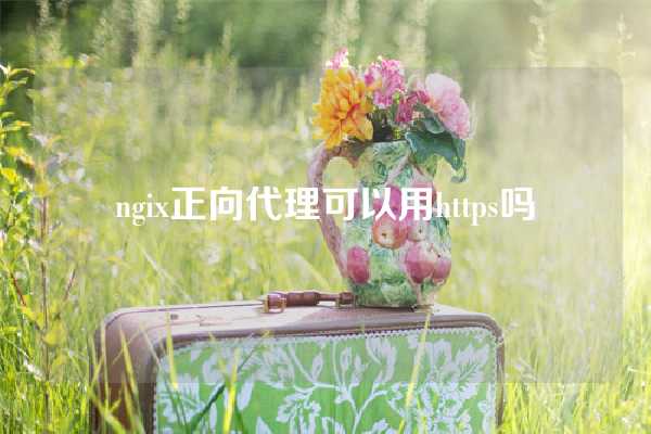 ngix正向代理可以用https吗