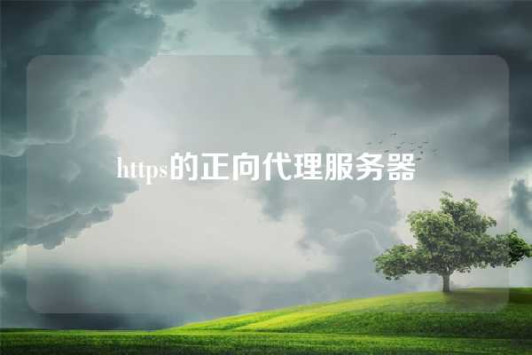 https的正向代理服务器