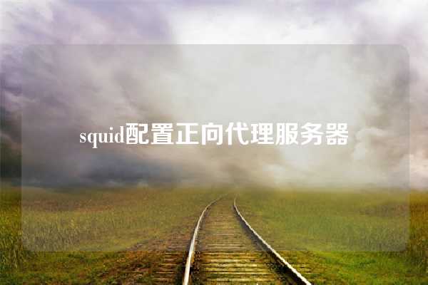 squid配置正向代理服务器