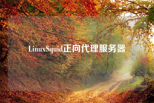 LinuxSquid正向代理服务器