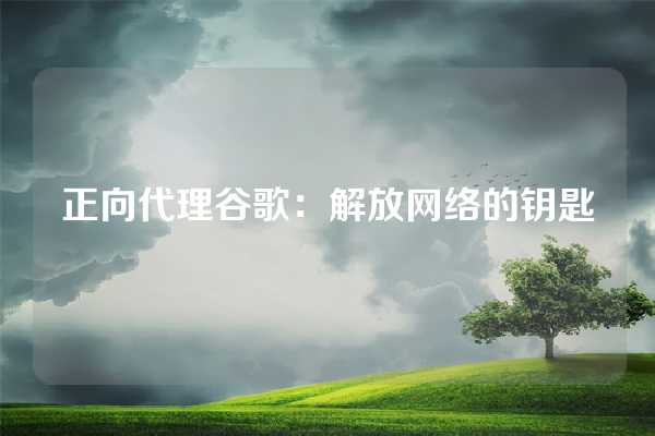 正向代理谷歌：解放网络的钥匙