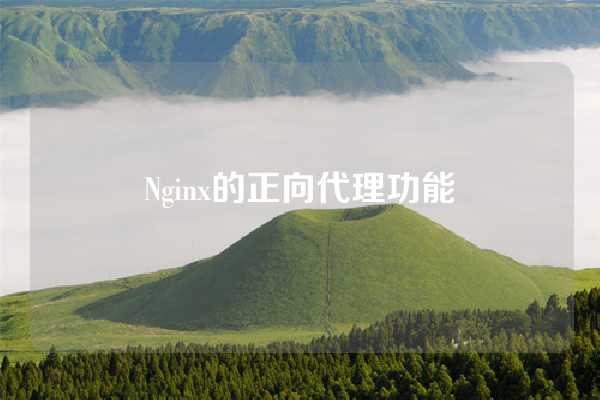 Nginx的正向代理功能