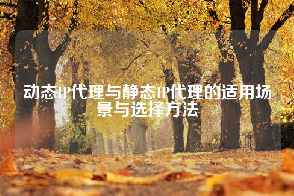 动态IP代理与静态IP代理的适用场景与选择方法