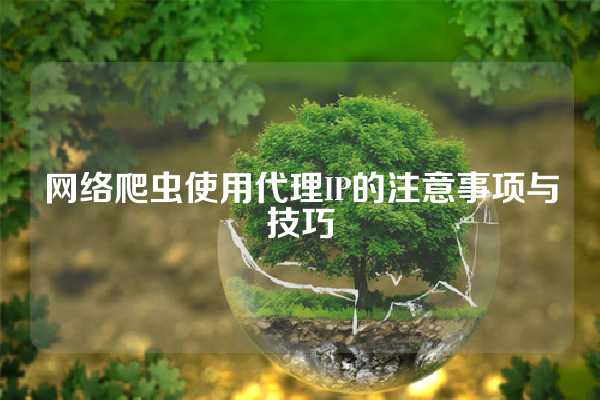 网络爬虫使用代理IP的注意事项与技巧