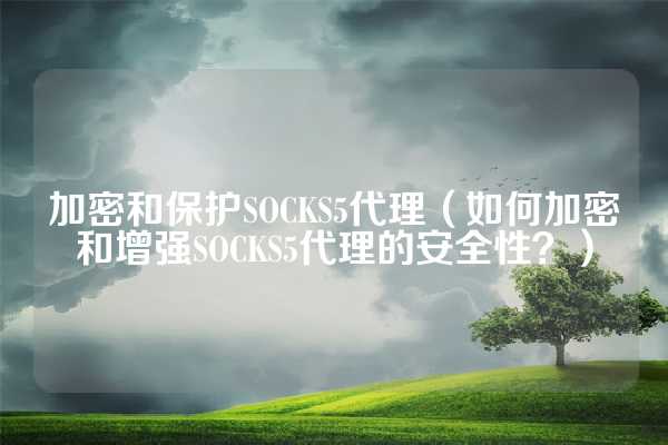 加密和保护SOCKS5代理（如何加密和增强SOCKS5代理的安全性？）