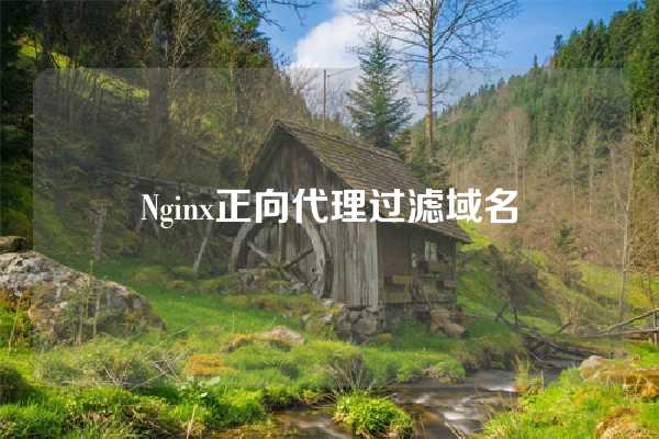 Nginx正向代理过滤域名