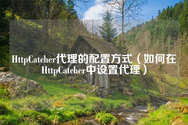 HttpCatcher代理的配置方式（如何在HttpCatcher中设置代理）