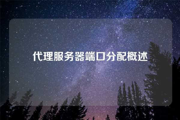 代理服务器端口分配概述