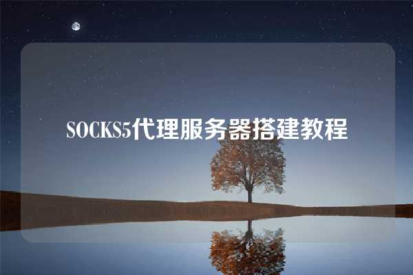 SOCKS5代理服务器搭建教程