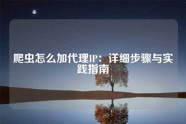 爬虫怎么加代理IP：详细步骤与实践指南