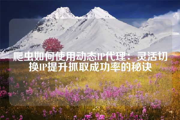 爬虫如何使用动态IP代理：灵活切换IP提升抓取成功率的秘诀