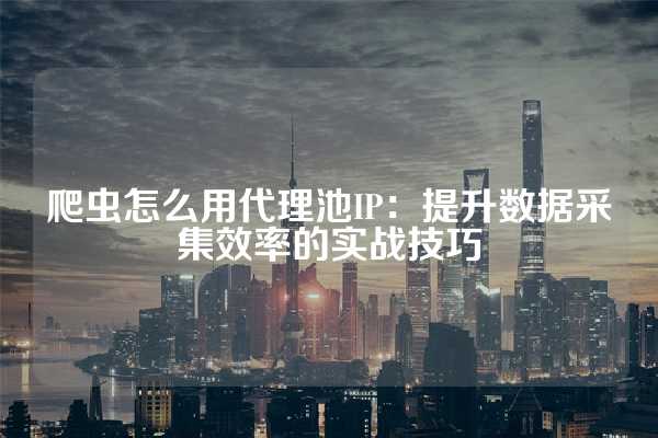 爬虫怎么用代理池IP：提升数据采集效率的实战技巧