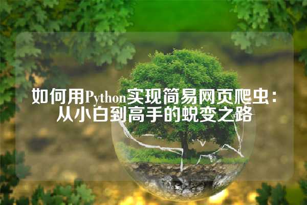 如何用Python实现简易网页爬虫：从小白到高手的蜕变之路