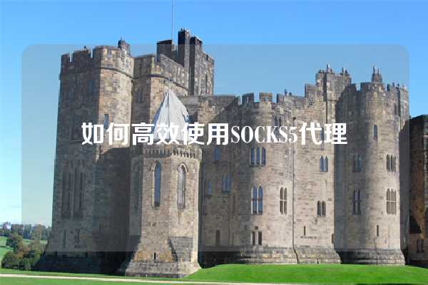 如何高效使用SOCKS5代理