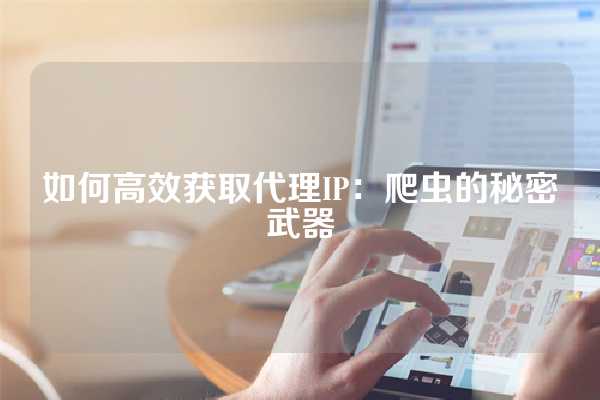 如何高效获取代理IP：爬虫的秘密武器