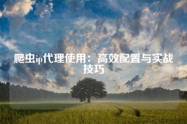 爬虫ip代理使用：高效配置与实战技巧