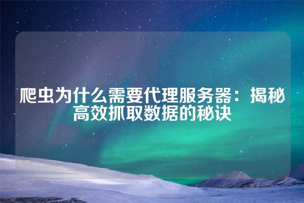 爬虫为什么需要代理服务器：揭秘高效抓取数据的秘诀